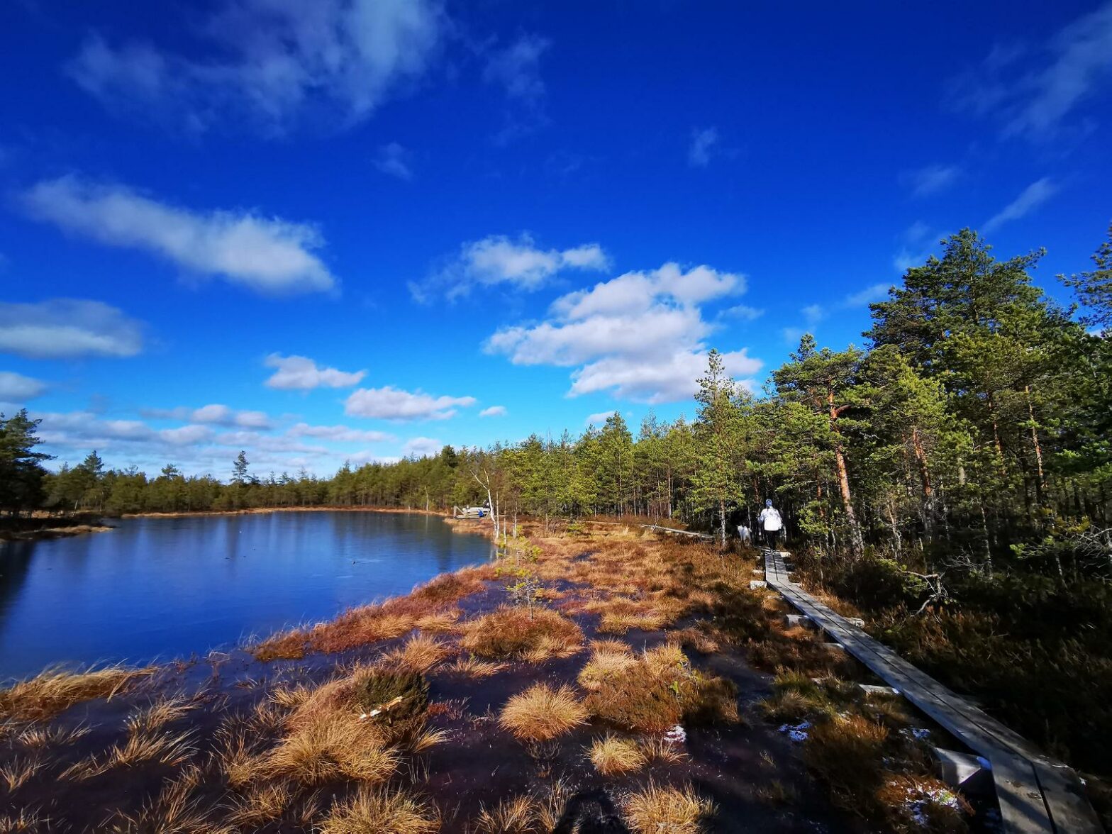 Foto: Elen Juurmaa, Puhka Eestis